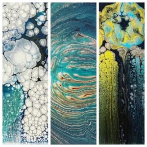 SHANNON SCHUSTER