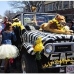 Nantucket Daffodil Festival 2023